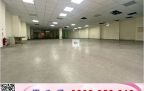蘆竹獨棟大腹地廠房(可依法廠登)