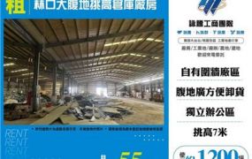 林口大腹地挑高倉庫廠房
