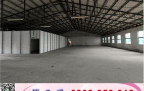 廣豐新天地大湳市中廠房/工業地廠房買賣租賃