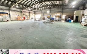 挑高鋼構廠房可分租(可依法廠登)/工業地廠房買賣租賃