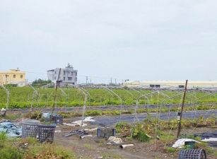 【近媽祖路工業區農地4.14分，事業與夢想的起點，傳承給下一代的無價寶藏 ✨】