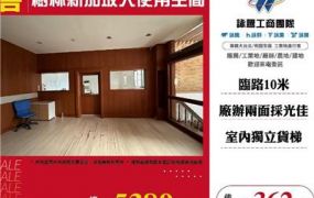 樹林新加坡大使用空間