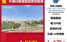平鎮66雙面臨路農地廠房123