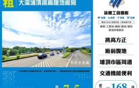 大溪埔頂挑高腹地廠房174