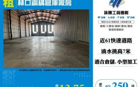 【租】林口鋼構倉庫廠房250 FT07904
