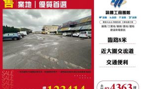 【售】大園多筆分割丁建工業地LC01685