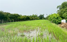 國四神岡交流道美田
