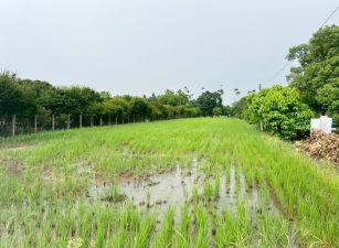 國四神岡交流道美田
