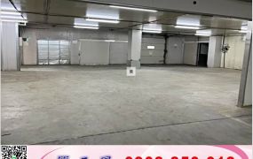 林口交流道恆温倉庫/工業地廠房買賣租賃