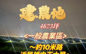 民雄旺萊山農建地4623坪