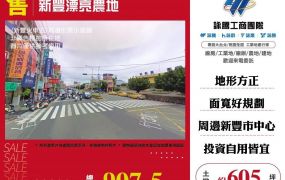 新豐漂亮農地
