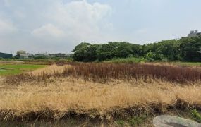 ㊣12米路富岡農+建