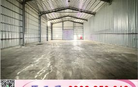 大園大馬路邊旁挑高倉庫廠房/工業地廠房買賣租賃