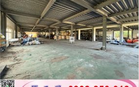 蘆竹超大腹地廠房(可依法廠登)/工業地廠房買賣租賃