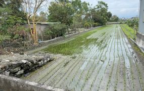 永慶許書豪★冬山梅園對景田園農地