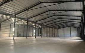 林口工一/挑高7米/倉庫廠房•    新北市廠房工業地買賣/建地/徵收農地/廠房出租
