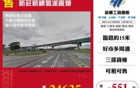 新莊新穎氣派廠辦173