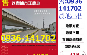 出售桃園農地-近青埔方正農地