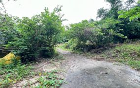燕巢金山國小超便宜農地｜買2分送2分租賃權