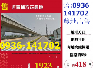 出售桃園農地-近青埔方正農地
