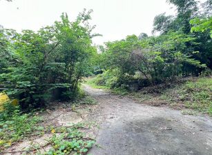 燕巢金山國小超便宜農地｜買2分送2分租賃權
