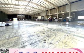 新屋挑高碼頭分租廠房(可依法廠登)/工業地廠房買賣租賃
