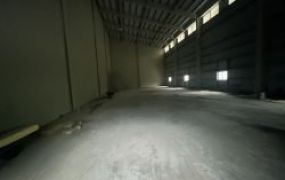 林口挑高鋼構廠房[專營林口工一產專區廠房工業地買賣出租]