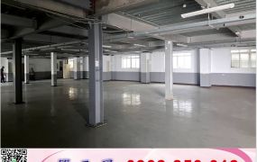 樹林產業園區分租廠房/工業地廠房買賣租賃