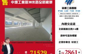 【售】中壢工業區30米路全新廠辦3-6樓 FT04447