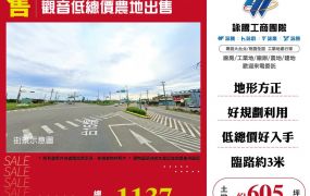 觀音低總價農地出售 ( ET02860 )