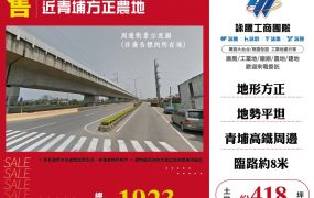 近青埔方正農地 ( ET02849 )