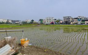 屏東土地是「自己會長大」的存錢筒~屏東農地9000元/坪