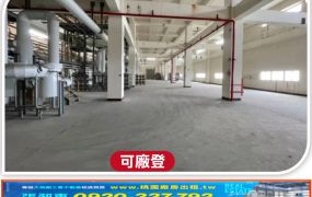 楊梅新穎大廠房
