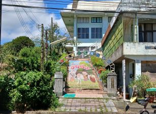 橫山沙坑國小休閒農地