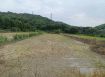 新北廠房廠辦 龜山都內農地