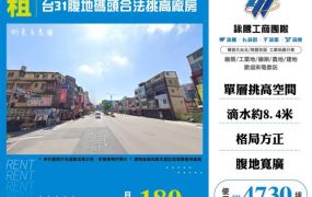 台31腹地碼頭合法挑高廠房155