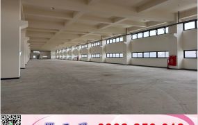 桃科三面臨路氣派新穎RC挑高廠房/工業地廠房買賣租賃