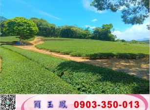龍潭北坑休閒茶園/工業地廠房買賣租賃
