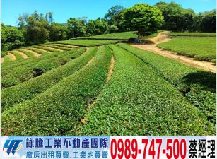 龍潭北坑休閒茶園/工業地廠房買賣租賃