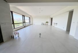 (專)南桃園交流道龍安商圈旁大空間住辦