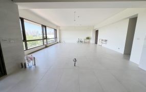 (專)南桃園交流道龍安商圈旁大空間住辦