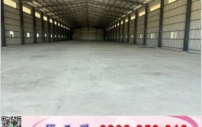 大園全新挑高倉庫廠房/工業地廠房買賣租賃