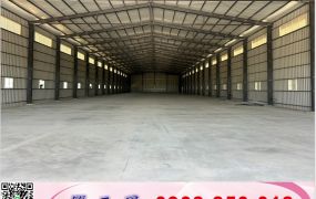 大園全新滴水7.5米倉庫廠房/工業地廠房買賣租賃