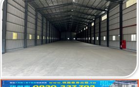 大園一般農+挑高鋼構廠房一棟605