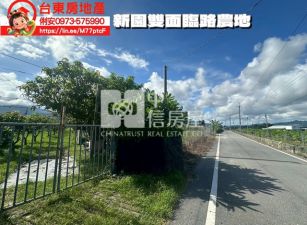 台東房地產 / 新園雙臨路農地