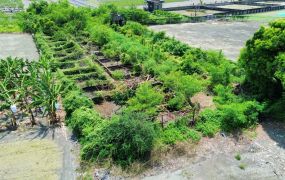 【近媽祖路工業區農地4.14分，事業與夢想的起點，傳承給下一代的無價寶藏 ✨】