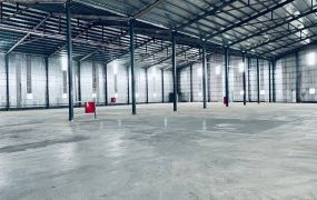 林口挑高11米鋼構廠房B棟