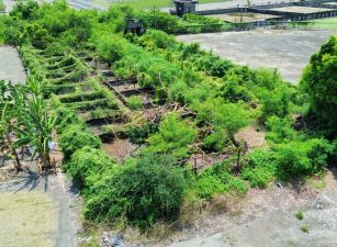 【近媽祖路工業區農地4.14分，事業與夢想的起點，傳承給下一代的無價寶藏 ✨】