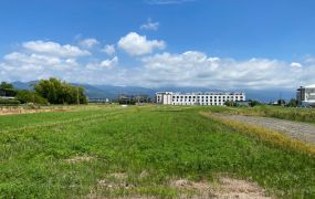 永慶許書豪★上將路近安農溪207美農地