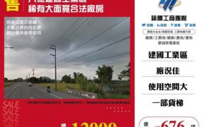 八德建國工業區稀有大面寬合法廠房166